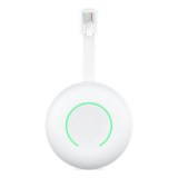 HomeWizard P1 Meter